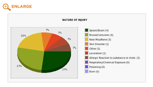 Online OSHA Metrics for identifying injury trends which assist in root cause analysis.